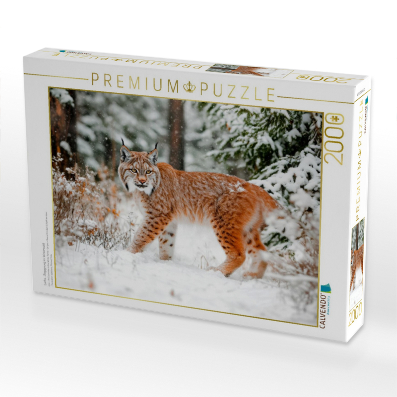 Luchs - Begegnung im Winterwald
