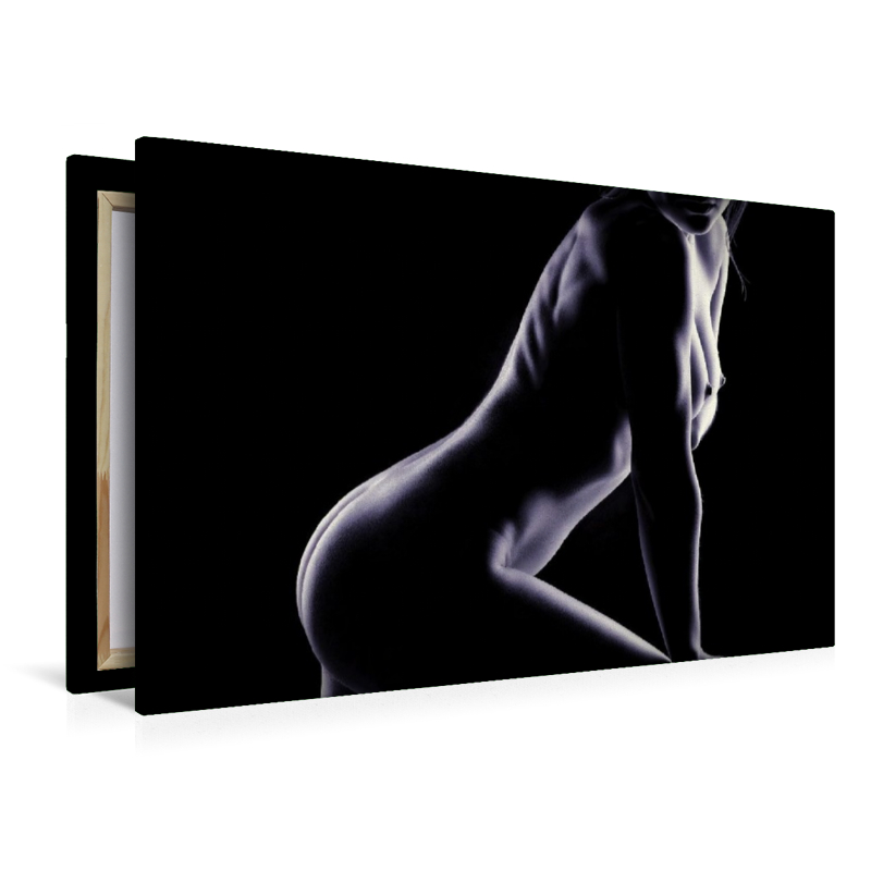 Ein Motiv aus dem Kalender Erotisches Meisterwerk aus feinem Linienwerk und Silhouetten