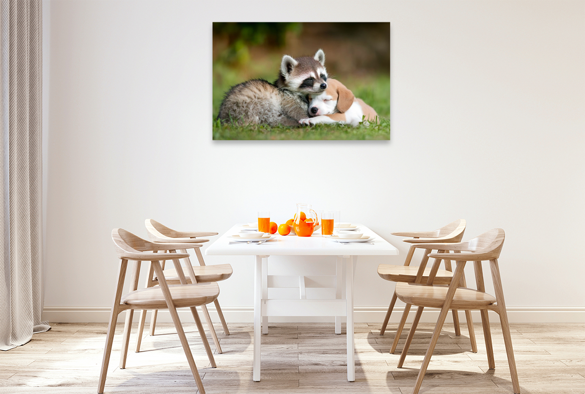 Waschbär und Welpe - Freundschaft kennt keine Grenzen
