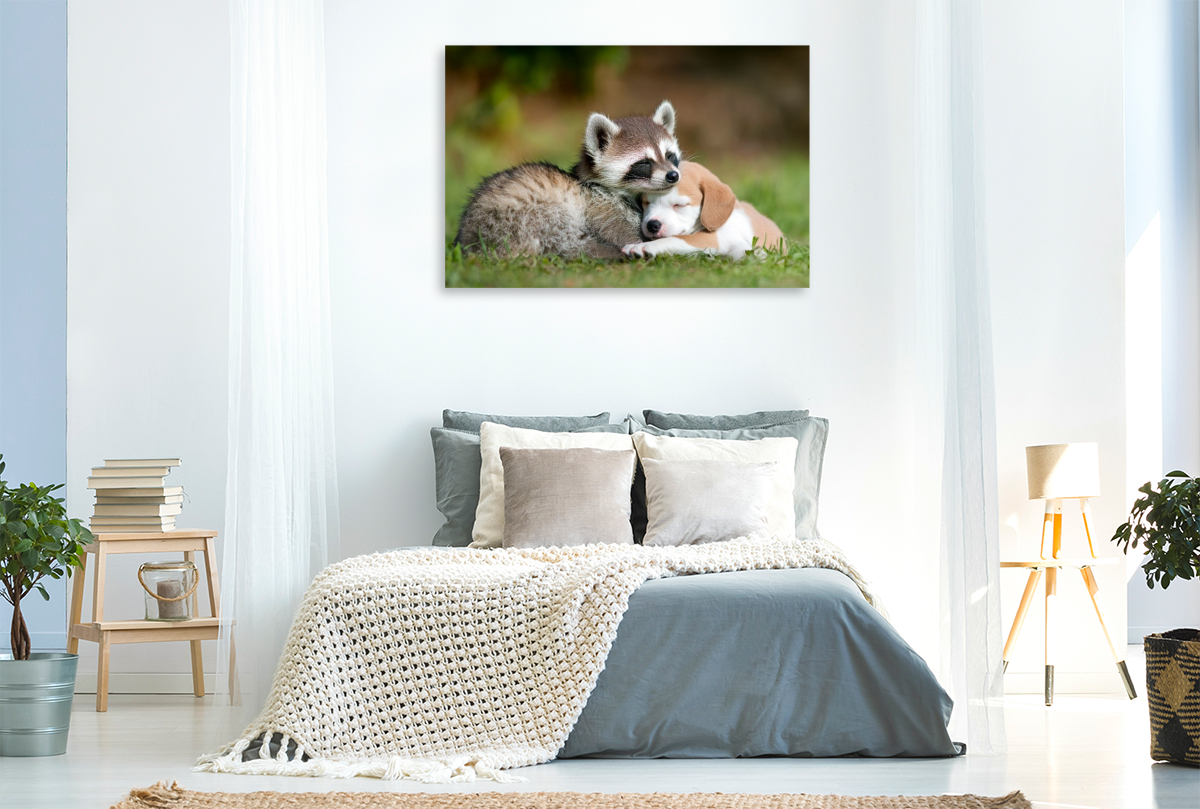 Waschbär und Welpe - Freundschaft kennt keine Grenzen