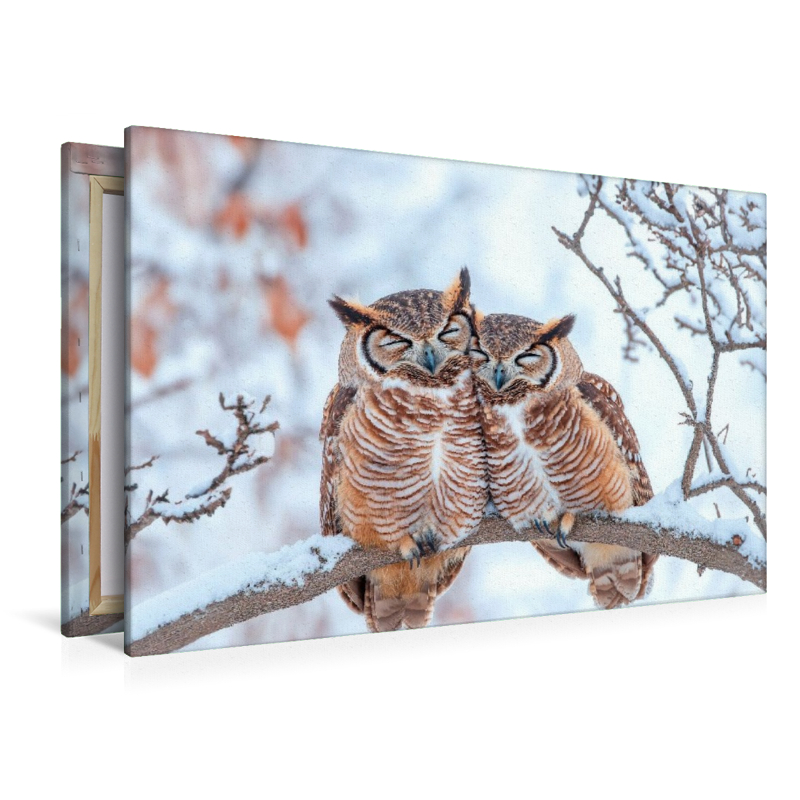 Eulenpaar im Schneewald