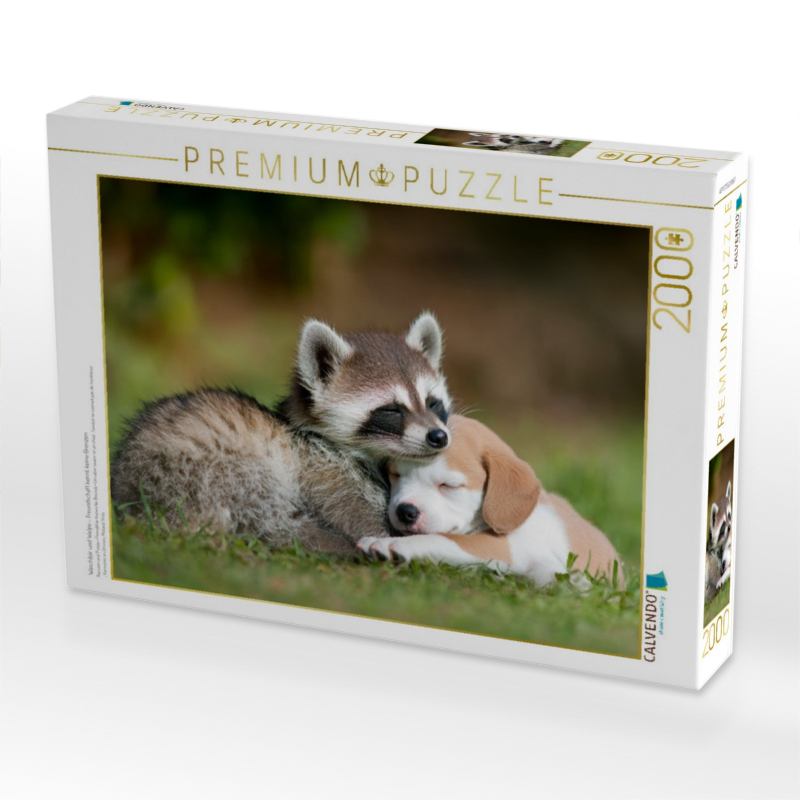 Waschbär und Welpe - Freundschaft kennt keine Grenzen