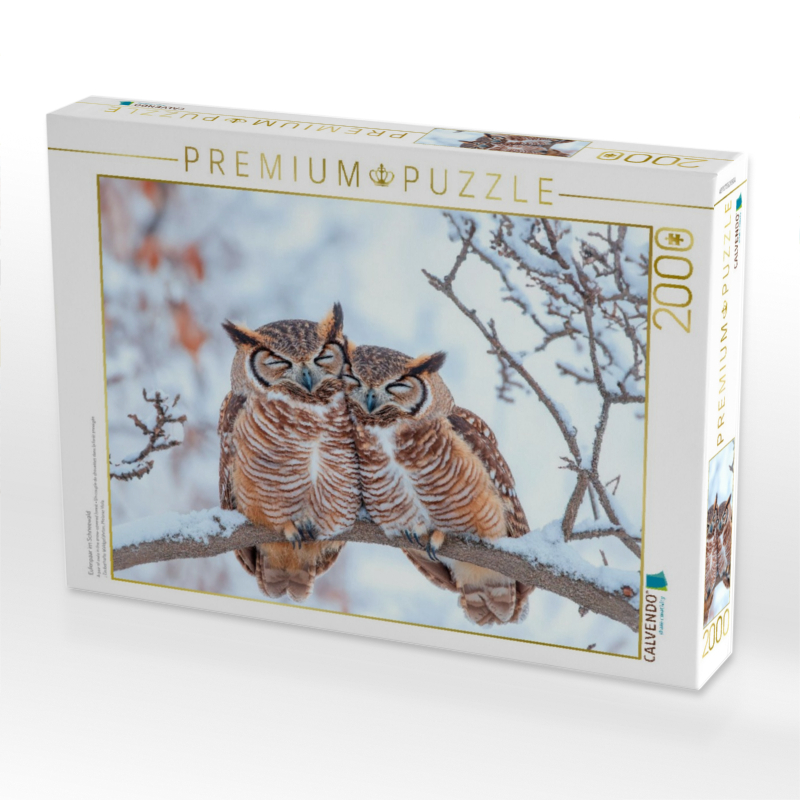 Eulenpaar im Schneewald