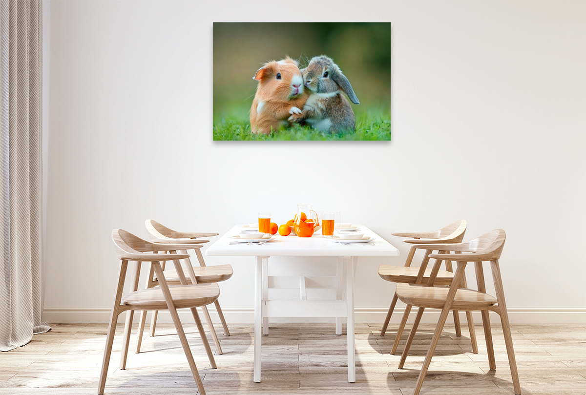 Meerschweinchen und Kaninchen - Sanfte Seelen