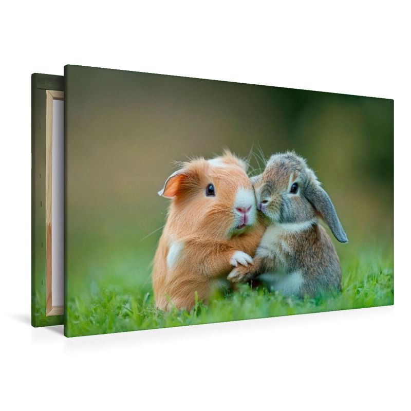 Meerschweinchen und Kaninchen - Sanfte Seelen