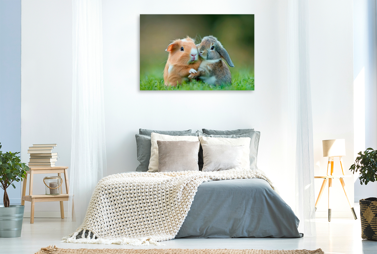 Meerschweinchen und Kaninchen - Sanfte Seelen
