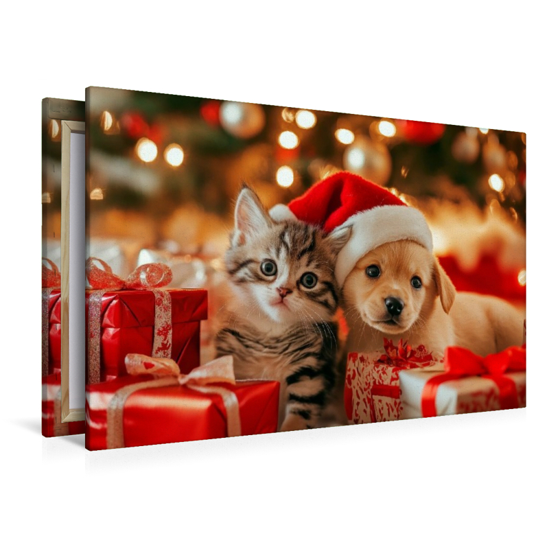 Katzenbaby und Welpe - Weihnachtliche Kuschelzeit