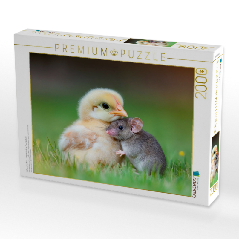 Küken und Maus - Ungewöhnliche Freundschaft