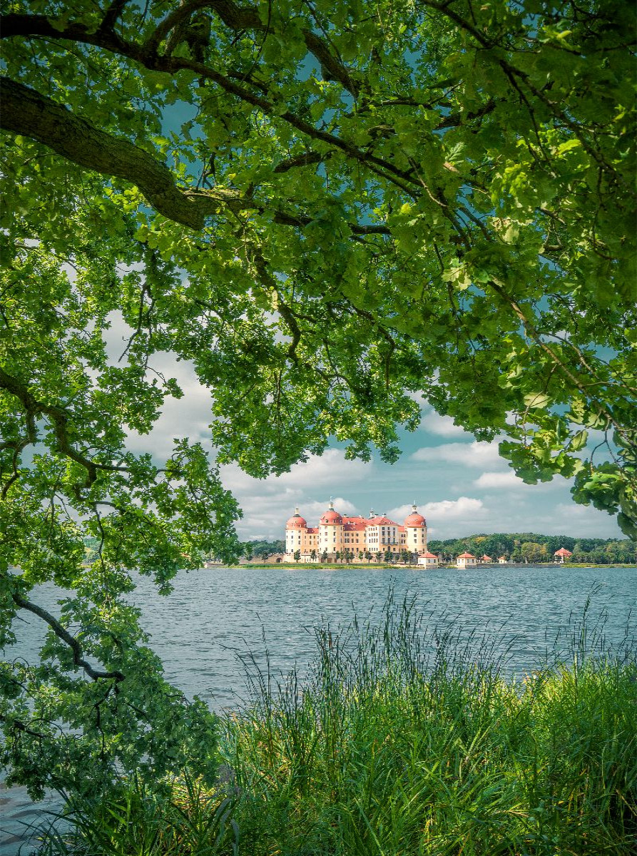 Schloss Moritzburg