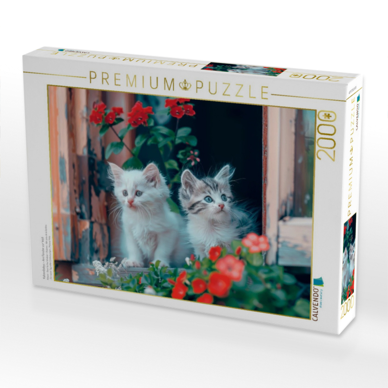 Katzenbabys - Am Fenster zur Welt
