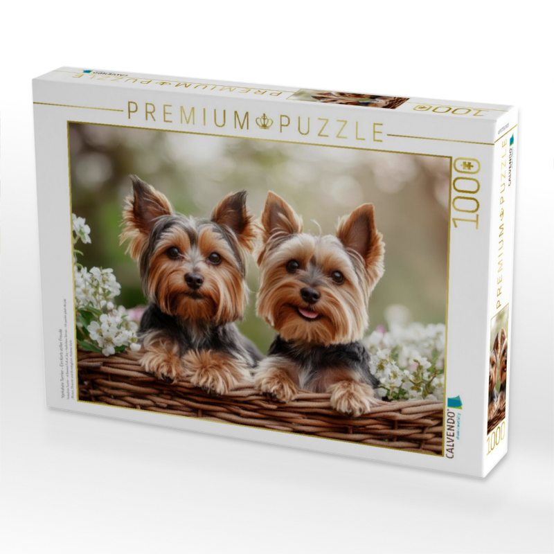 Yorkshire Terrier - Ein Korb voller Freude