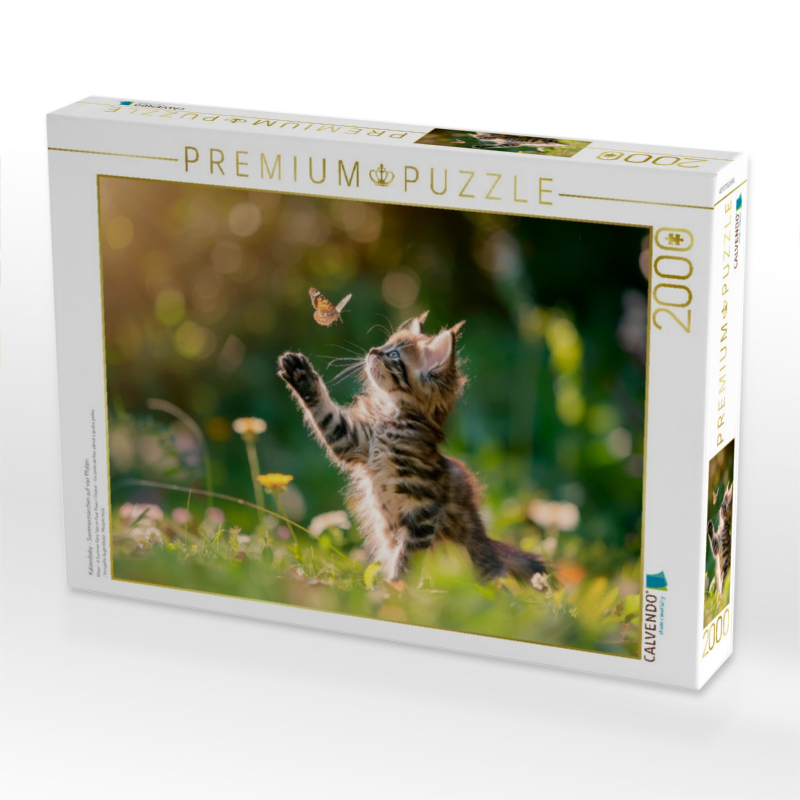 Katzenbaby - Sommermärchen auf vier Pfoten