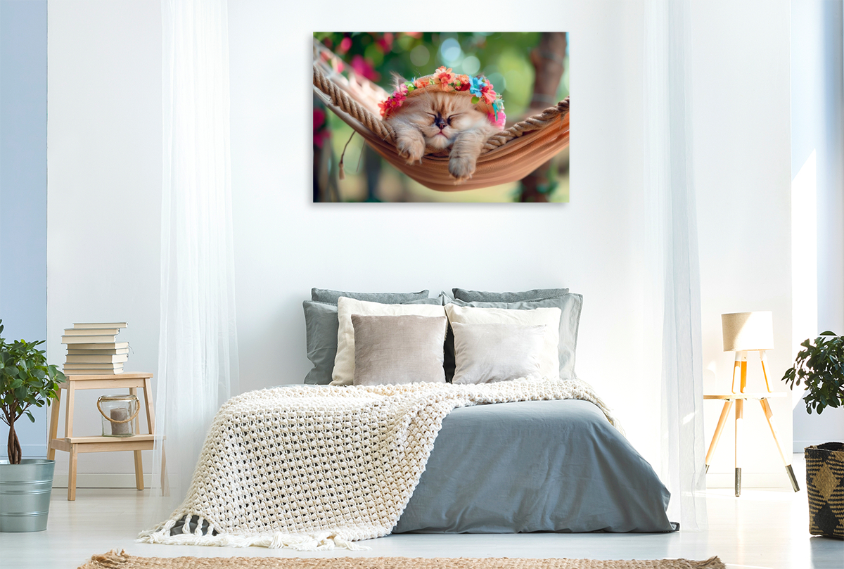 Katzenbaby - Kleines Blumenkind faul in der Hängematte