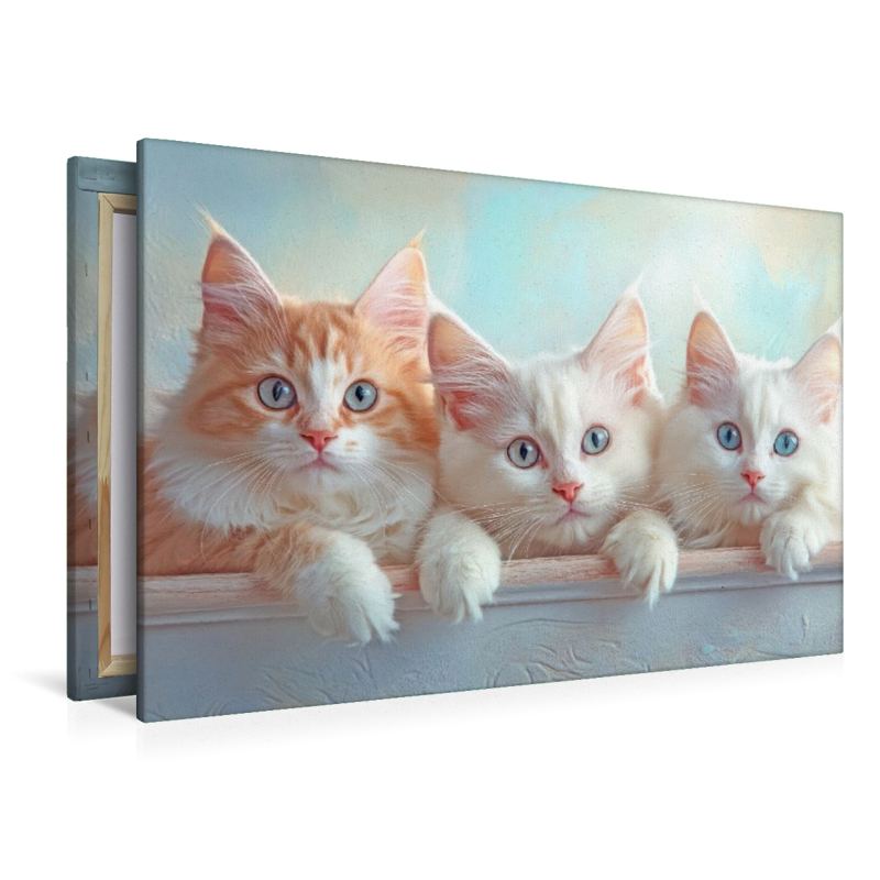 Katzenkinder