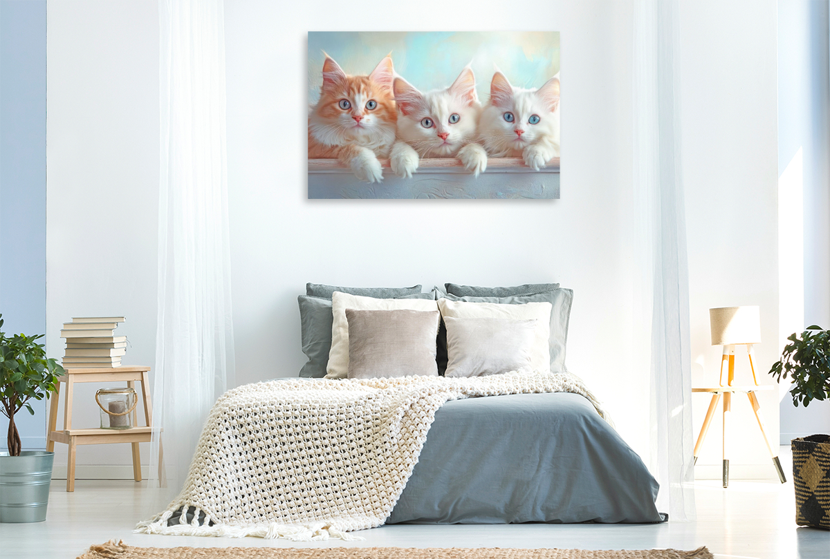 Katzenkinder