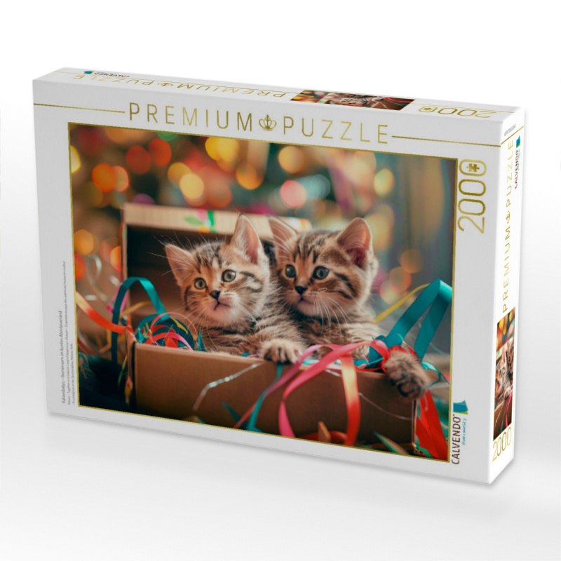 Katzenbabys - Gemeinsam im bunten Abenteuerland