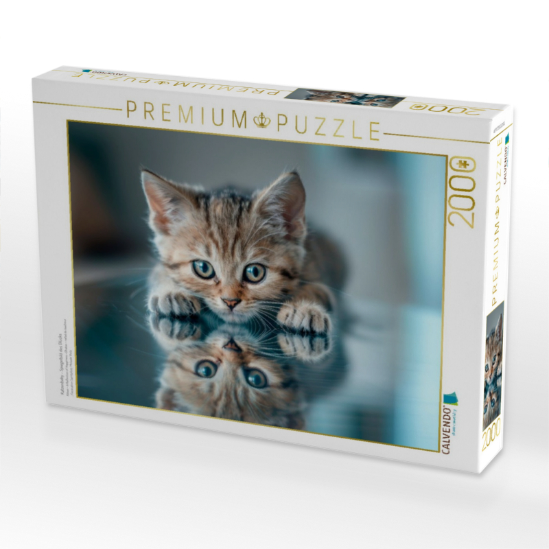 Katzenbaby - Spiegelbild des Glücks