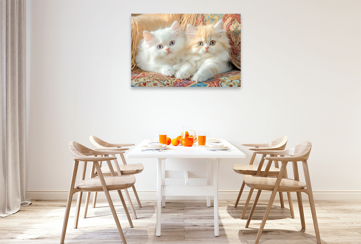 Katzenkinder