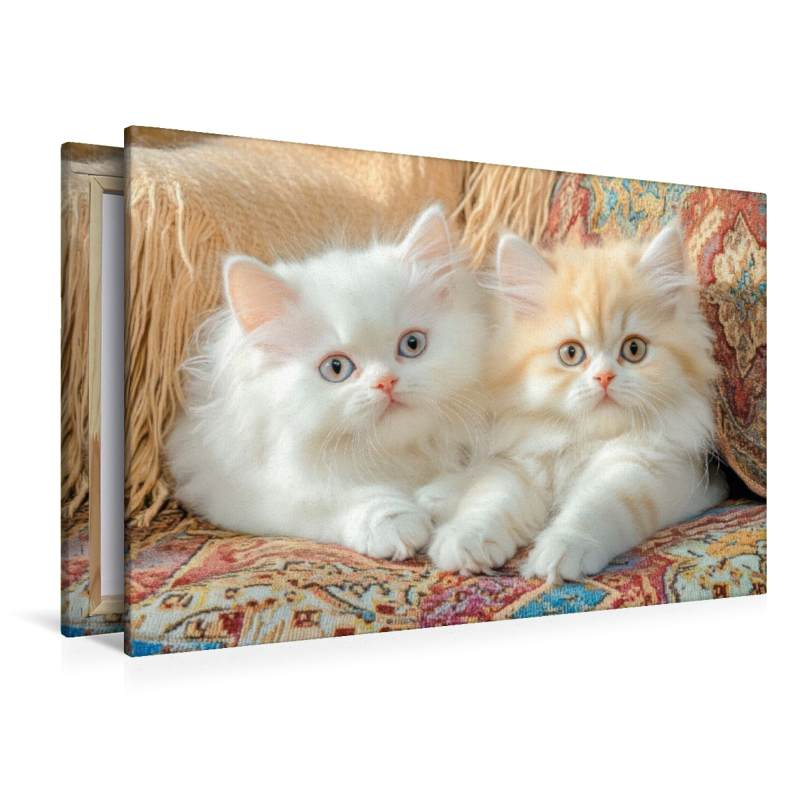 Katzenkinder