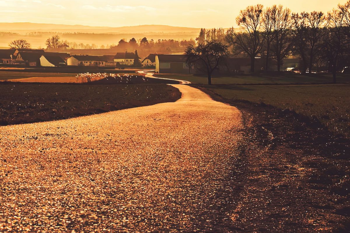 Der Weg ins Licht