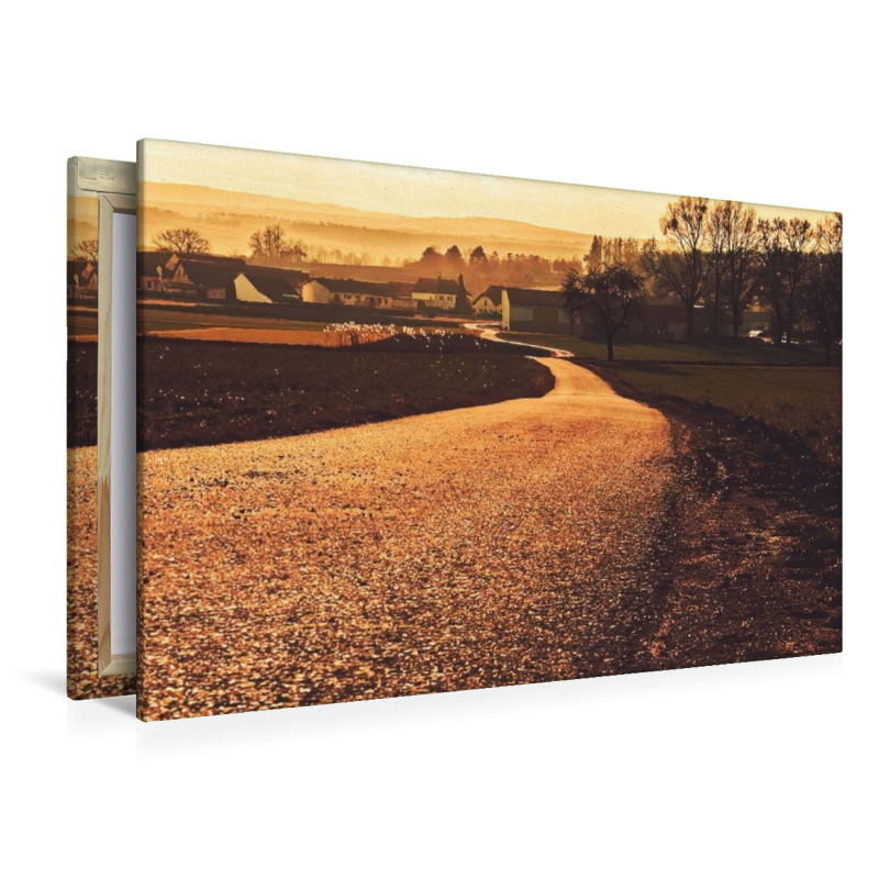 Der Weg ins Licht