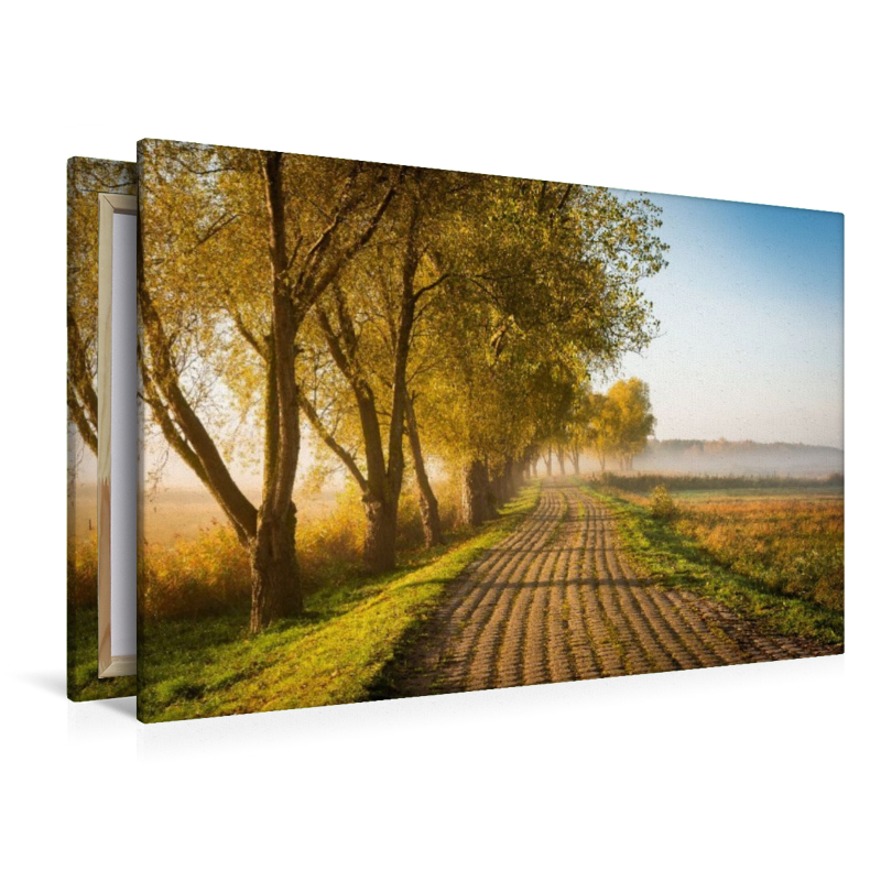 Feldweg am Herbstmorgen