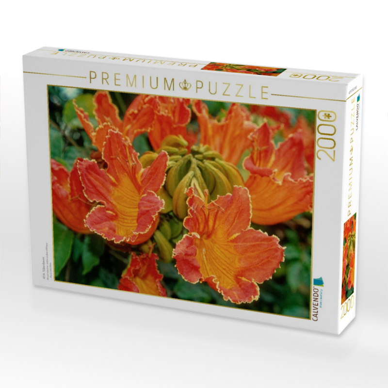 Afrik. Tulpenbaum