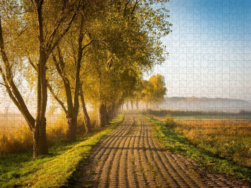Feldweg am Herbstmorgen
