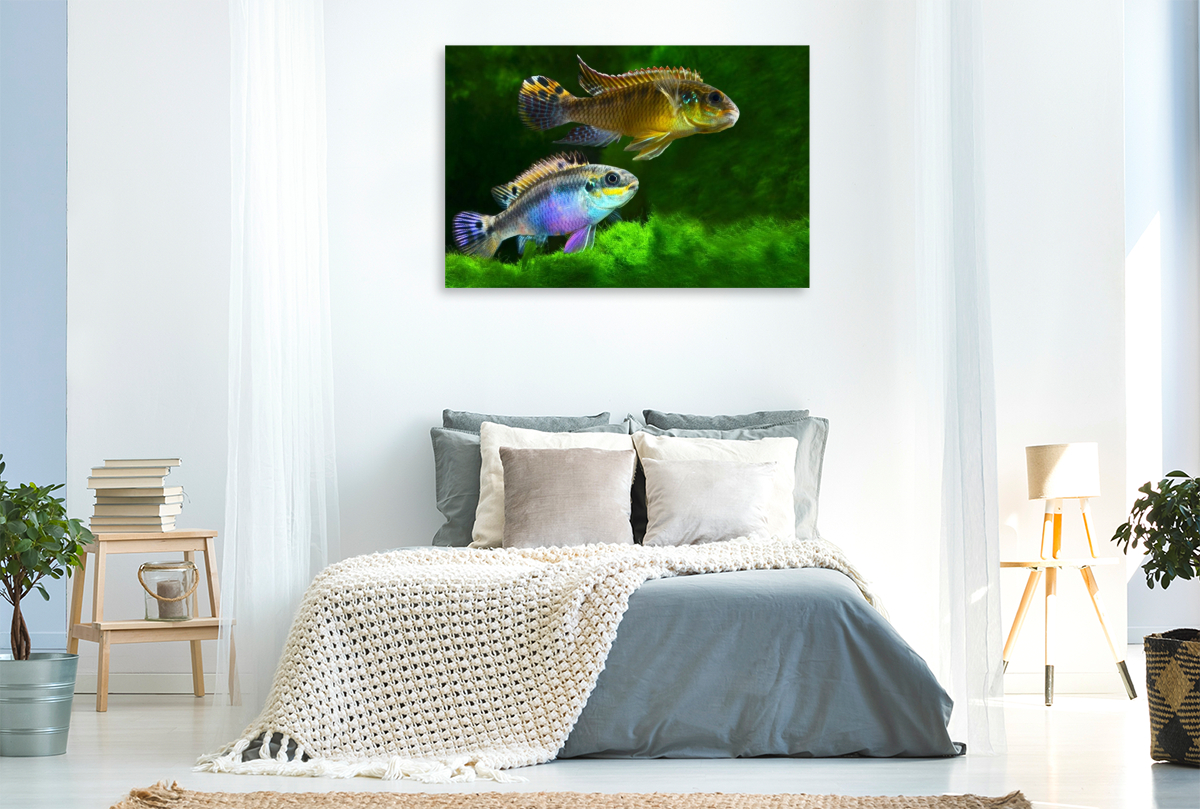 Pelvicachromis kribensis – Moliwe-Prachtbarsch