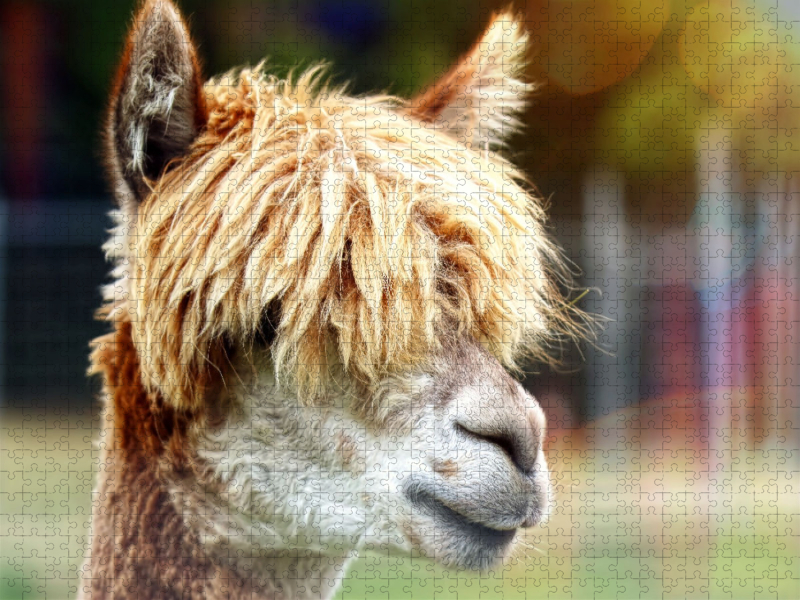 Friseur? Was ist das?