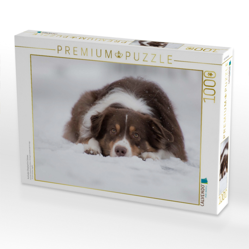 Australian Shepherd im Schnee