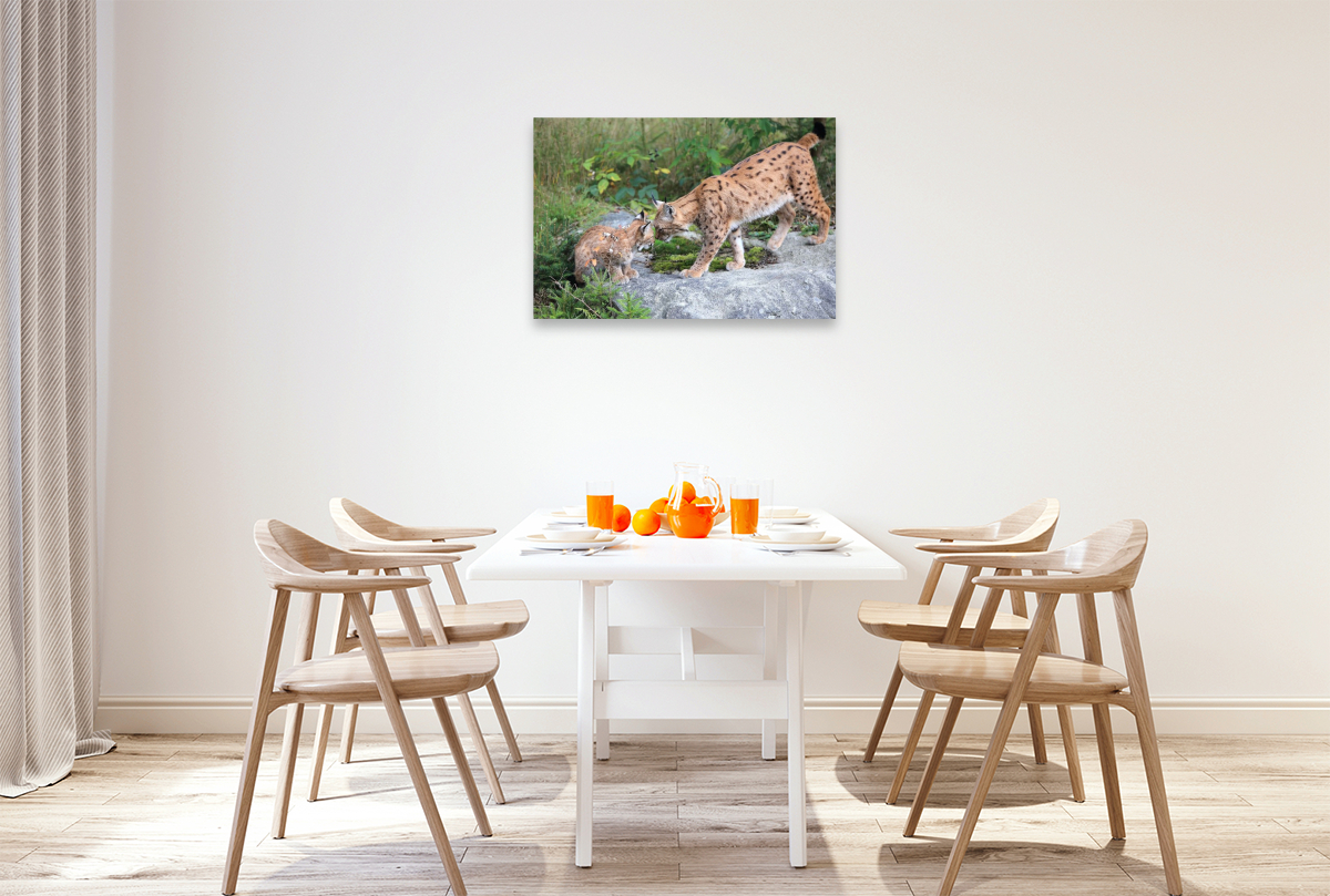 Ein Motiv aus dem Kalender Der Luchs, zurück in den heimischen Wäldern