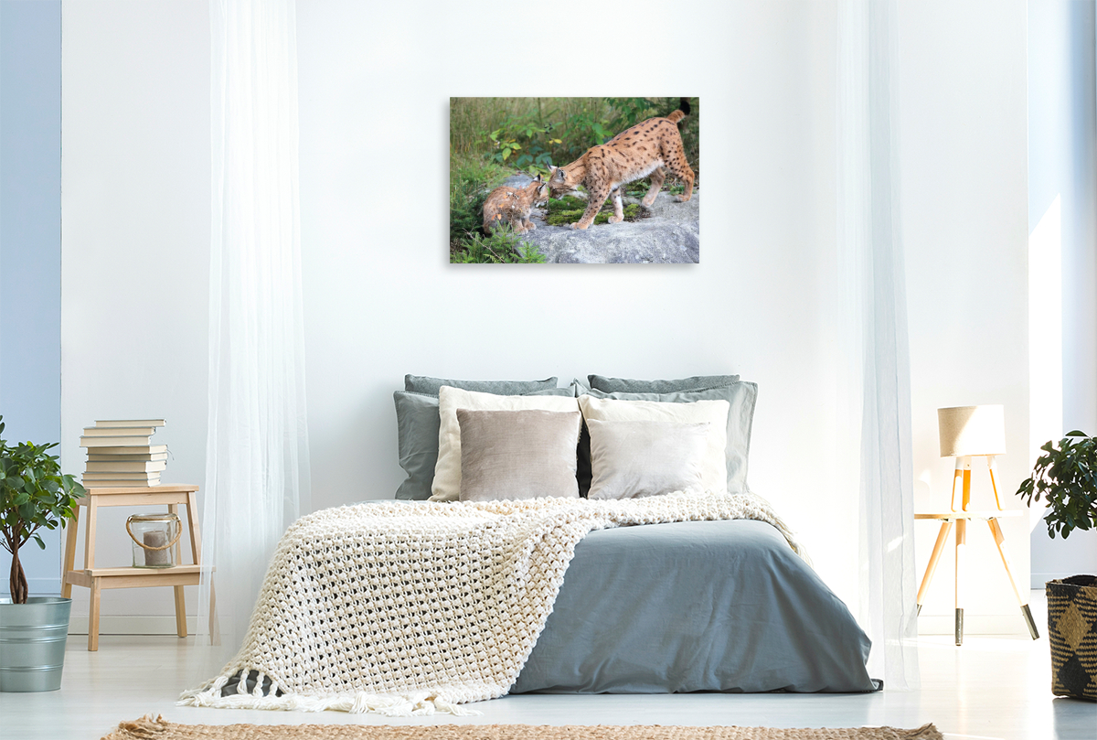Ein Motiv aus dem Kalender Der Luchs, zurück in den heimischen Wäldern