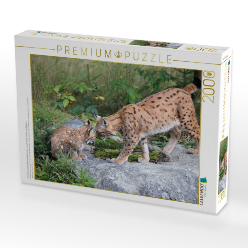 Ein Motiv aus dem Kalender Der Luchs, zurück in den heimischen Wäldern