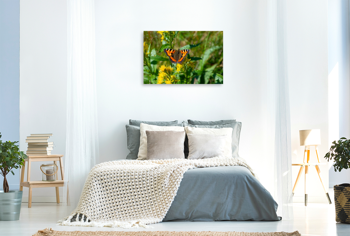 Der Kleine Fuchs – Ein Juwel unserer Natur