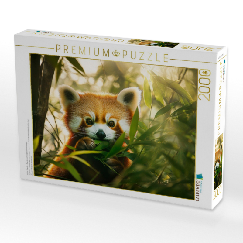 Roter Panda - Bambusmahlzeit im Himalaya