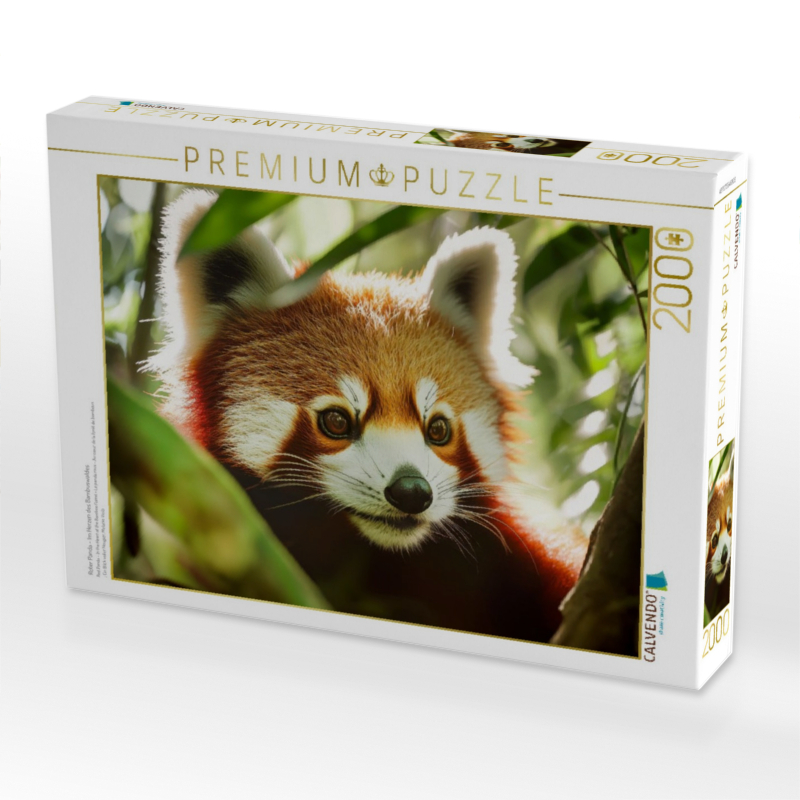 Roter Panda - Im Herzen des Bambuswaldes