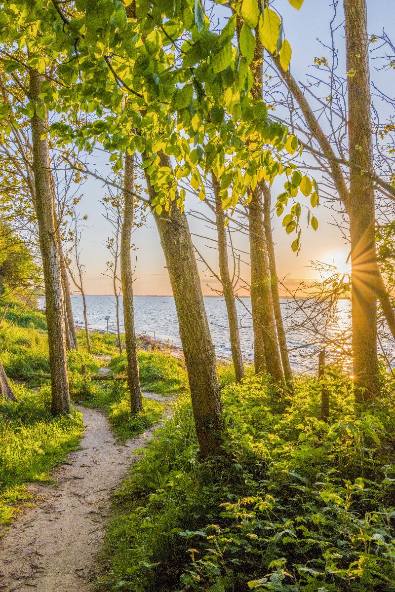 Weg zum Meer