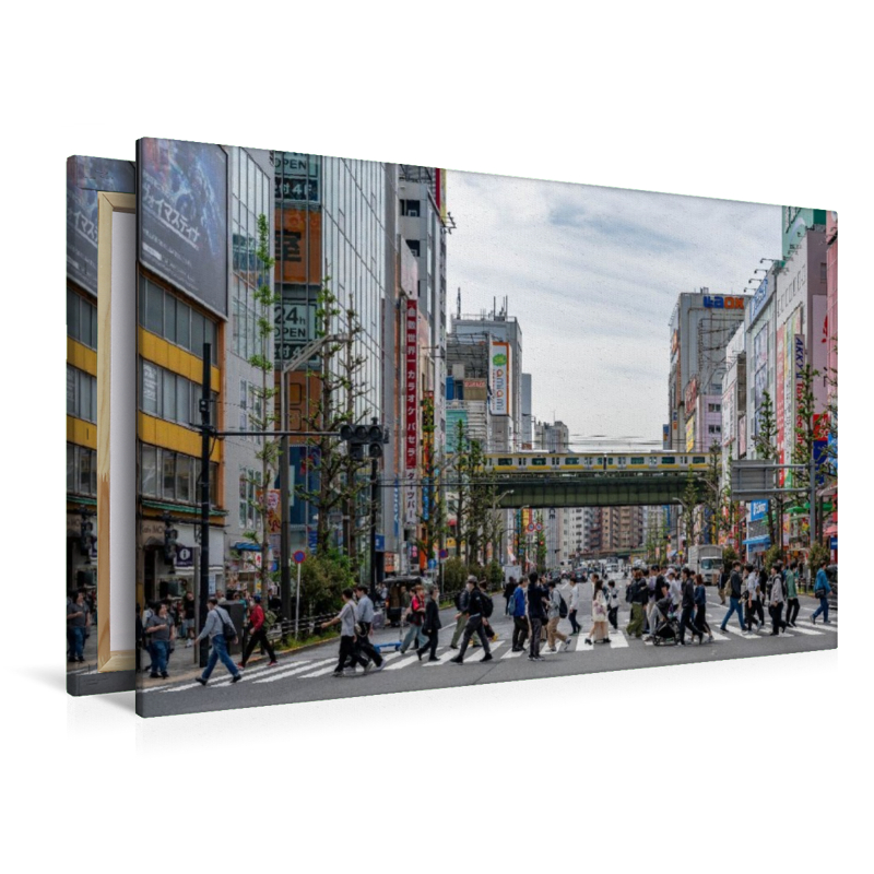 Akihabara in Bewegung