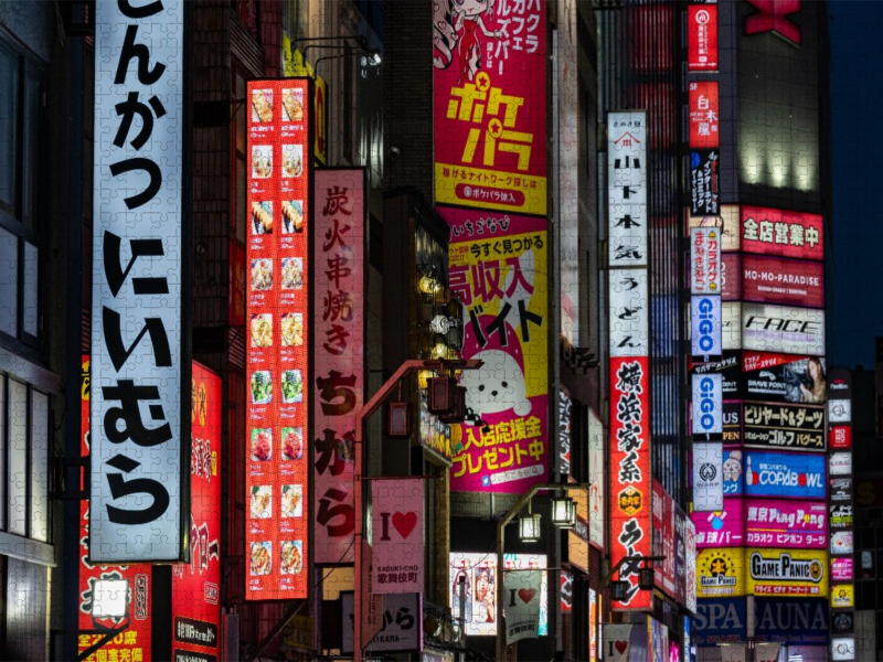 Kabukichō  Tokios leuchtende Nacht