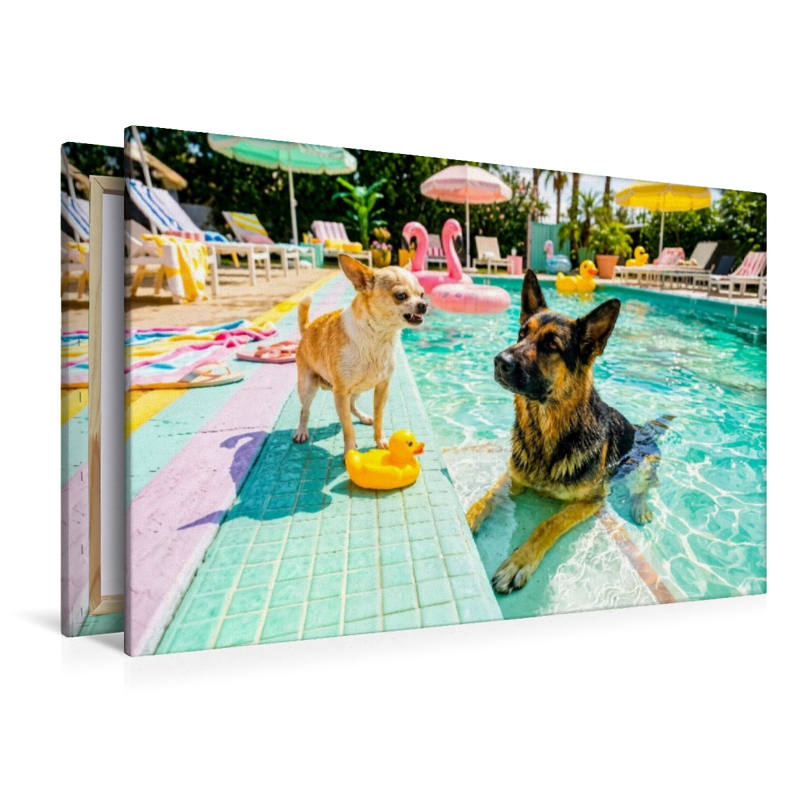 Großer Poolzoff – Chihuahua vs. Schäferhund