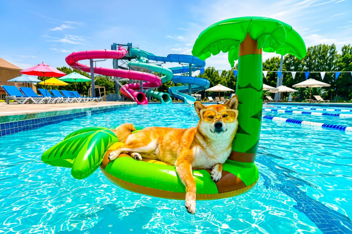 Shiba Trauminsel – Lustiges Sommer Hundemotiv