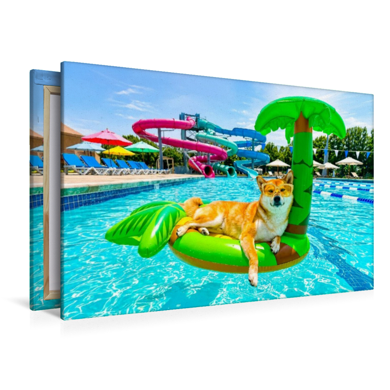 Shiba Trauminsel – Lustiges Sommer Hundemotiv