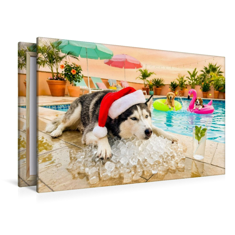 Husky on the Rocks - Weihnachtsmotiv