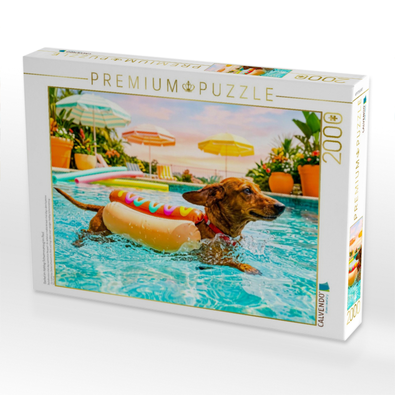 Dackel im Hotdog‑Schwimmanzug im Pool