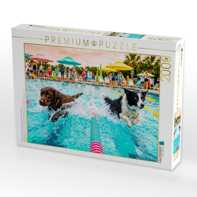 Hundeschwimmrennen - Action auf der Schwimmbahn