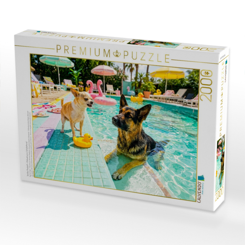 Großer Poolzoff – Chihuahua vs. Schäferhund