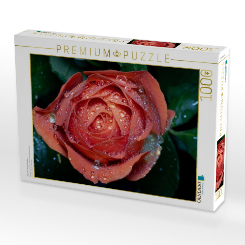 Rose mit Wassertropfen