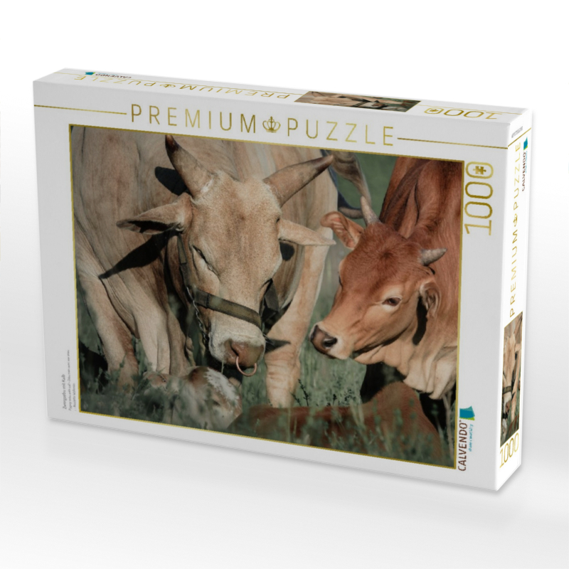 Zwergzebu mit Kalb