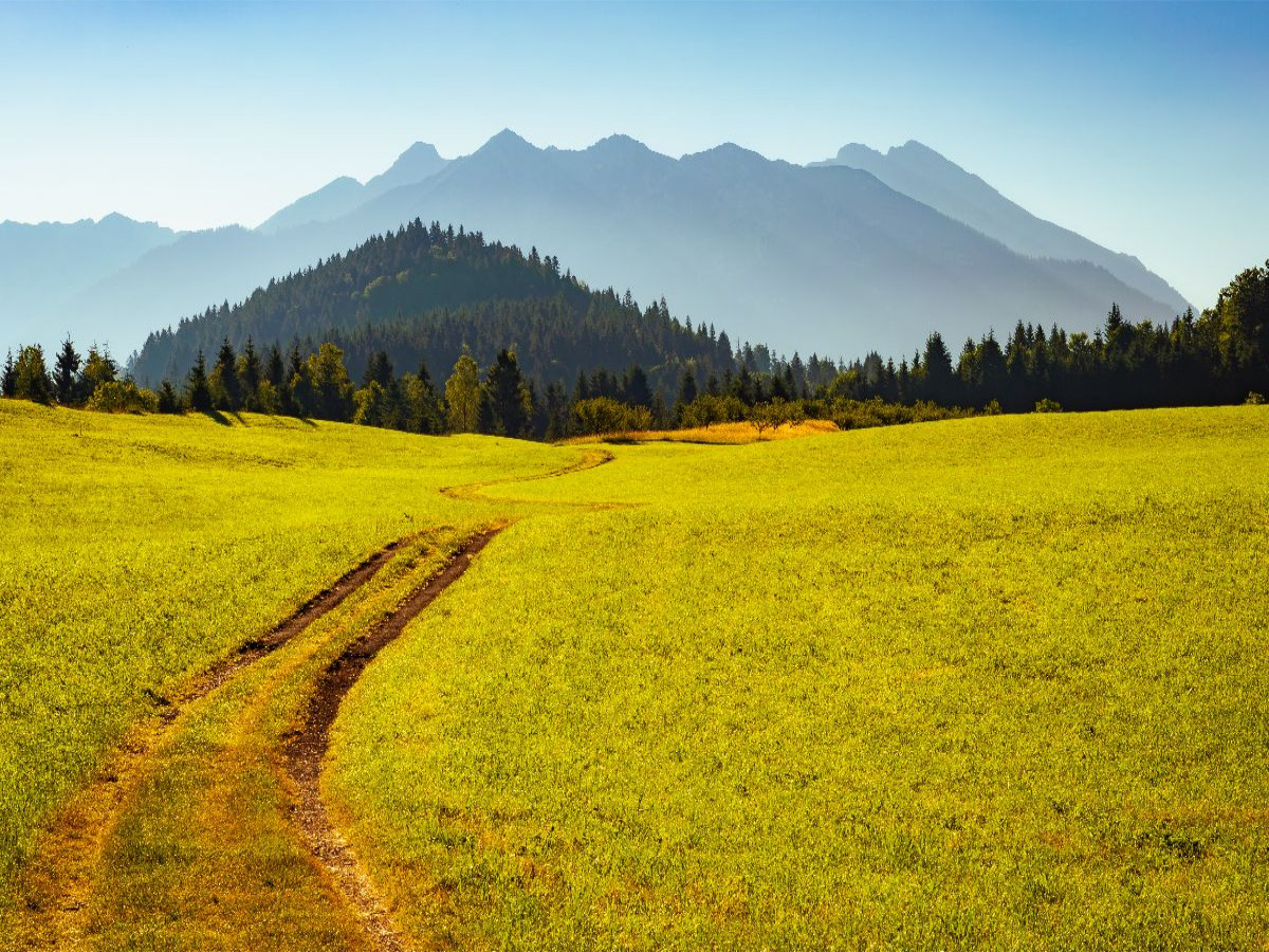 Soierngruppe im Sommer